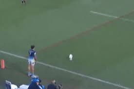 The Sydney Morning Herald - News update