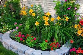 Easy And Simple Flower Bed It S Simplicity Is Eye Catching As Are The Flowers Nicely Done Small Flower Gardens Backyard Flowers Front Flower Beds