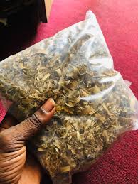 Image result for Tabernanthe elliptica