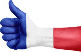 Man behöver inte ta med sig passet, när sig reser dit. Frankrike Flag Hand Gratis Bilde Pa Pixabay