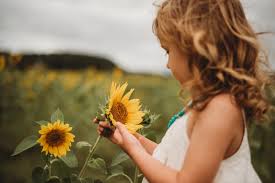 Sunflower Field Session Ashley Marie Smith Photography Portraits North Carolina Photographer Photography Portrait Photography Children Photography