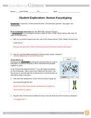 Student exploration evolution natural selection answer key. Karyotypinggizmo Name Jack Riddle P 4 Date Student Exploration Human Karyotyping Vocabulary Autosome Chromosomal Disorder Chromosome Genome Karyotype Course Hero