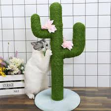 Even after they've been declawed, cats continue to exhibit scratching behaviors. Handmade Strong Cactus Cat Scratcher Scratching Post Tree With Ball Fluffy Base Ebay