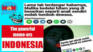 Selepas itu, dilakukan pembudidayaan malika seberat 40kg dan ternyata sukses. Ini Yg Terjadi Ketika Meme Ers Indonesia Membuat Berita Auto Ngakak Online Youtube