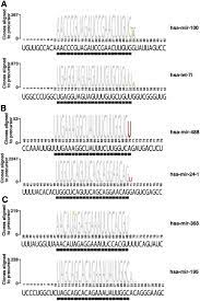 The cell atlas 27 within the human protein atlas (hpa) 28 aims to localize human proteins at a subcellular level using the hpa antibody resource, immunofluorescence. A Mammalian Microrna Expression Atlas Based On Small Rna Library Sequencing Cell