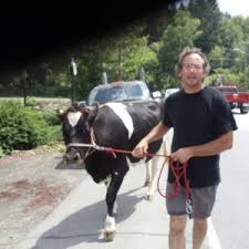 Come closer and watch them. Top Petting Zoos For Hire In New York City Ny 100 Guaranteed Gigsalad