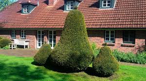 Damit sie im garten bzw. Video Wie Garten Glucklich Macht Hr Fernsehen De Sendungen A Z