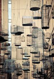Franswazz Photo Installation Art Bird Cages Photo