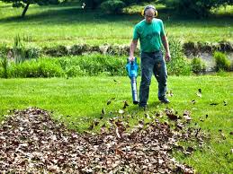 One noticeable aspect of this oil is that the 300mg is far weaker per ml. Best Leaf Blower 2021 Cordless Leaf Blower Reviews