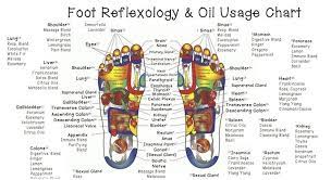 Foot Reflexology Chart And Oil Use Studypk Reflexology Oils Reflexology Chart Living Essentials Oils