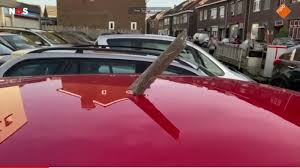 Ads from car dealers and private sellers. 747 Engine Turbine Blades Spear Cars In The Netherlands Airline Ratings