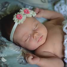 Sara Hendrickson Photography