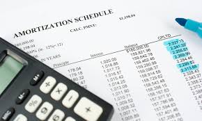 Image of an amortization schedule