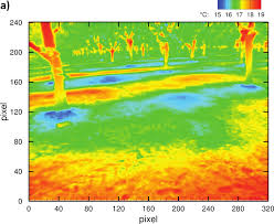The Canopy Horizontal Array Turbulence Study