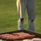 Father's Day Cookout