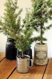 Can Put These Where Our Little Christmas Tree Was Potted Christmas Trees Alternative Christmas Tree Alternative Christmas