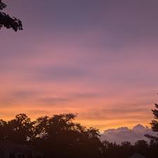 Stacy Whitehouse (@stac_corkconfidential) • Instagram photos and videos