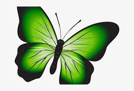 Download butterfly background images and use any clip art,coloring,png . Green Butterfly Butterfly Png Image Transparent Png Free Download On Seekpng