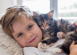 Photos, address, and phone number, opening hours, photos, and user reviews on yandex.maps. Pet Exams In Bellevue Wa Bellevue Value Pet Clinic