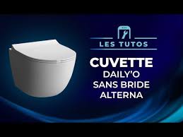 Zonedô à confectionné ce packs pour vous proposé un wc suspendu de qualité a un prix vraiment sympa! Alterna Pack Wc Suspendu Daily O2 Avec Abattant Frein De Chute Declipsable Cedeo