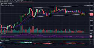 And you were wondering why giant asset even if you think the probability that bitcoin will be as big as gold is low, it is still a bet worth taking. Bitcoin Bulls Keep Buying On Dips As Btc Balance On Exchanges Reach 13 Month Low Zycrypto