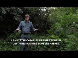 La Foret Jardin De Martin Crawford En Francais Jardin Foret Permaculture Agroecologie