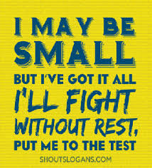 100 Best School Campaign Slogans Posters And Ideas Student Council Campaign Posters Student Council Campaign Student Council Posters