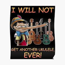 سن لیا ہم نے فیصلہ تیرا اور سن کر، اداس ہو بیٹھے. Funny Ukulele Quotes Posters Redbubble