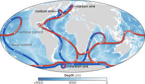 the ocean's carbon balance