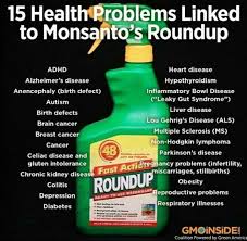 The Usa Government Allows This All Will Be Suffering From This And We Have No Healthcare Monsanto Health Health Problems