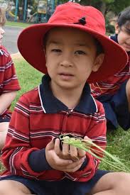 Term 1 Week 3 2023 Newsletter