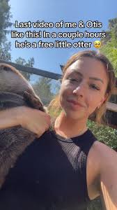 What a year it’s been raising this little guy! Forever and ever and always  in my heart. Bye Otis ❤️  #otistheotter#otis#otter#legendsneverdie#releasedate#backtothewild#wildanimals#viralanimals#wildlife...