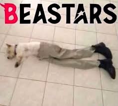 Sneaker pin, pop culture pin, fun pin. Top Memes De Beastars En Espanol Memedroid