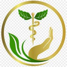 Green Leaf Logo Png Download 1080 1080 Free Transparent Naturopathy Png Download Medicine Logo Herbal Logo Design Leaf Logo