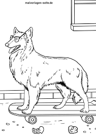 Find more border collie coloring page pictures from our search. Tolle Malvorlage Collie Hund Kostenlose Ausmalbilder