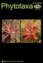 Image result for Justicia fittonioides