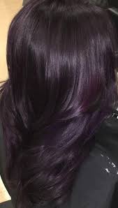 It all starts with a darker shade of natural violet black hair dye. 29 Dark Purple Hair Colour Ideas To Suit Any Taste In 2019 In 2021 Dark Purple Hair Dark Purple Hair Color Hair Color Purple