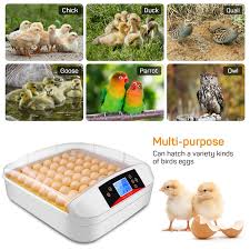 Amazon.com: Egg Incubator, Incubators for Hatching Eggs with Fully  Automatic Turning and Humidity Control, 90W Digital Clear Chicken Duck Egg  Incubator (Yellow) : Industrial & Scientific
