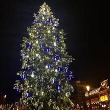 Noël et la décoration du sapin pointent le bout de leur nez et vous ne savez pas comment vous y prendre : Les Plus Beaux Sapins De Noel Du Monde Sur Instagram