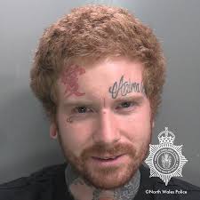 Wrexham man jailed for 'deeply disturbing' attacks