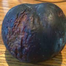 We did not find results for: A Plum That S Brownish Inside Eat Or Toss