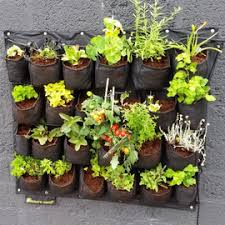 verticale moestuin verticale plantenbakken voor buiten foodplanting com verticale tuin verticale plantenbak verticale moestuin