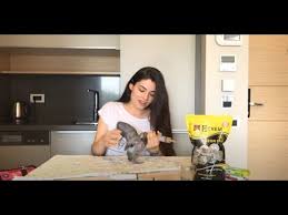 Yavru Guvercini Nasil Beslerim Youtube