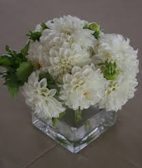 White Dahlias By Flowers By Emil How to cut and arrange dahlias. white dahlias by flowers by emil
