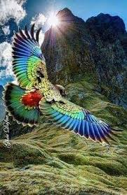 Pin By Meltem On Kuslar Ve Yuvalari Nature Birds Animals Beautiful Beautiful Birds