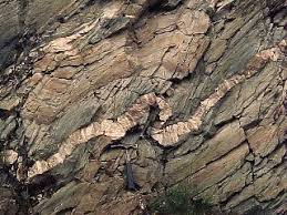 Slate Outcrop Metamorphic