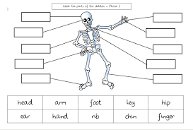 Human body muscles human muscle anatomy human anatomy and physiology major muscles human anatomy picture muscular system anatomy muscle diagram anatomy bones anatomy organs. Free Printable Download Challenge To Add The Labels To The Human Body Three Different Versions Available Free Printables Literacy Books Printable Books