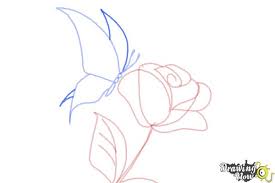 Nov 26, 2018 · although beautiful artistic drawing of rose looks damn difficult, you need to start from the easy ones to reach that level. How To Draw A Butterfly On A Flower Drawingnow