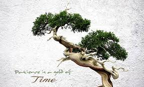 Bon tabak ya da tepsi ve sai ağaç ya da bitki anlamına geliyor. Hd Wallpaper Bonsai Brown Bonzai Plant Aero Creative Tree Sculpture Statue Wallpaper Flare