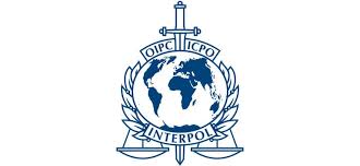Polish your personal project or design with these interpol transparent png images, make it even more personalized and more attractive. Faq Interpol Red Notice Ausschreibung Schlun Elseven